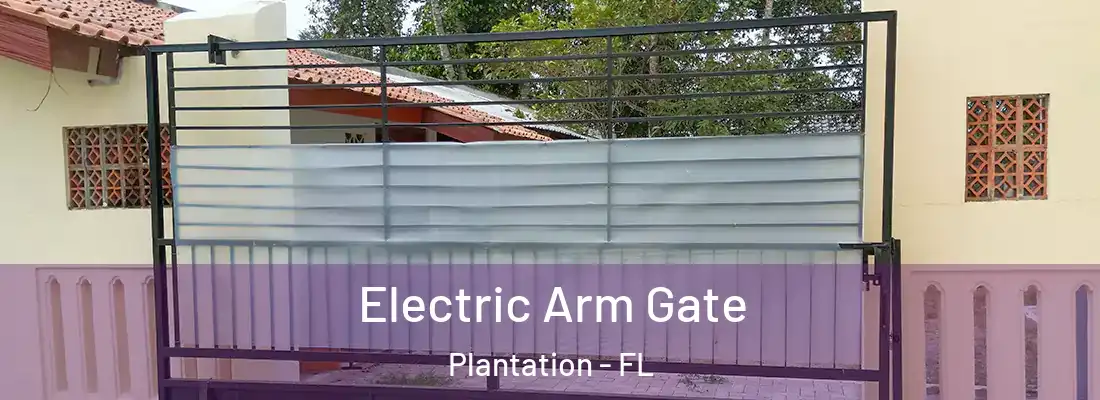 Electric Arm Gate Plantation - FL